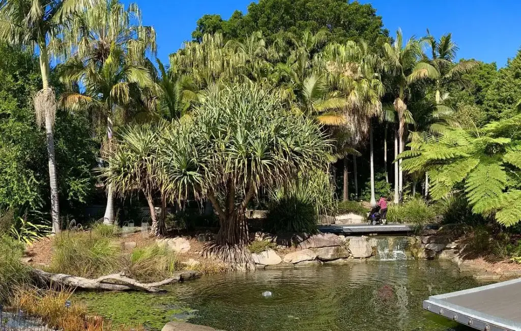 Australian Botanic Garden