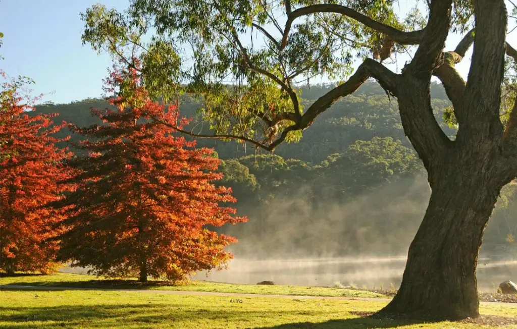 Lake Alexandra Reserve