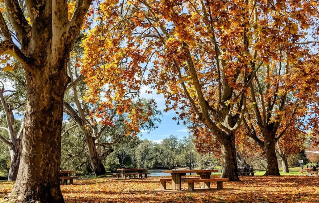 Noreuil Park Foreshore