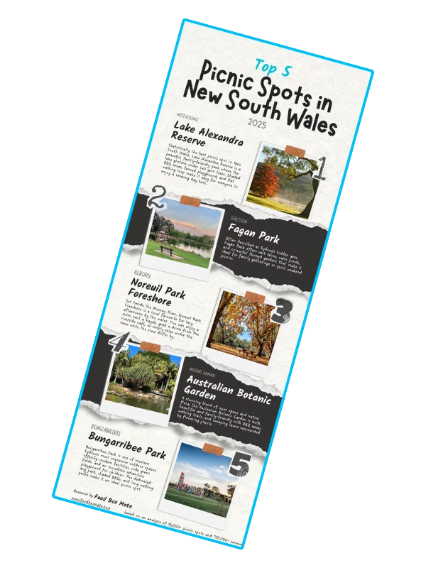 Picnic Spot Infographic Promo